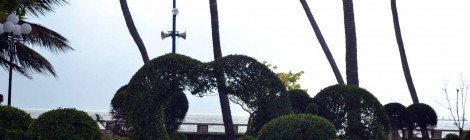 topiaire, L'art topiaire