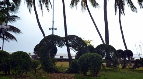 topiaire, L'art topiaire