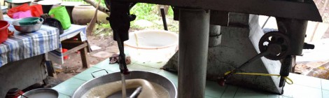 Une fabrique de bonbons à la noix de coco